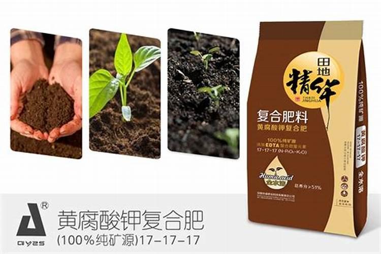 豇豆怎么找化肥厂家代理加工厂电话？