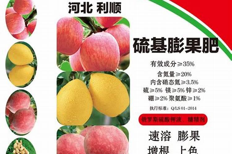 香芋农业果树专用肥生产厂家电话