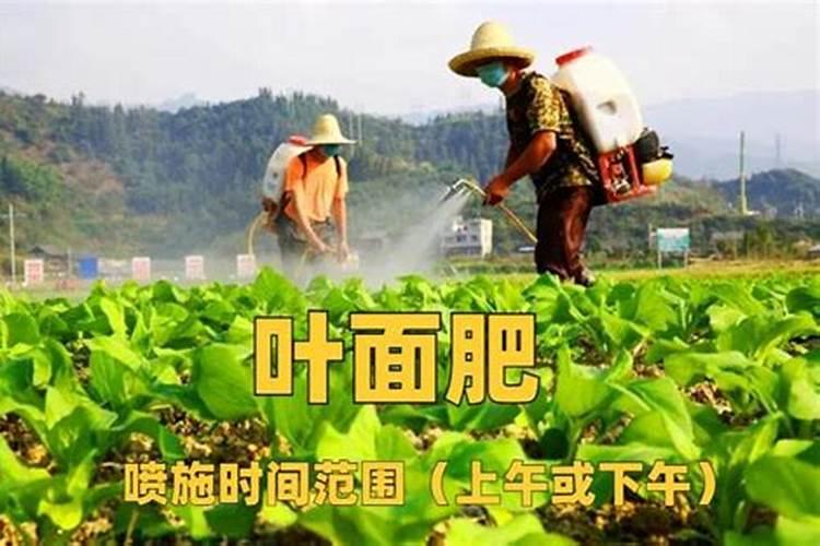 甘南氨基酸叶面肥不能超过3次