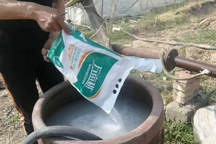 凤尾竹水溶肥是有机肥吗还是混合？