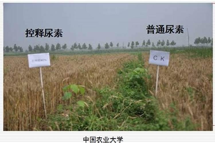 缓控释肥有效期多少天？