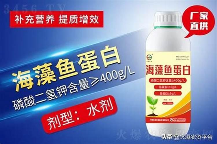 常州鱼蛋白肥料排名第一