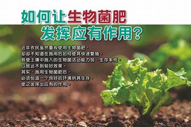 生物菌肥怎样使用才能发挥其效果