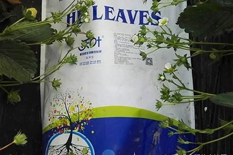 有机化肥和无机化肥区别？