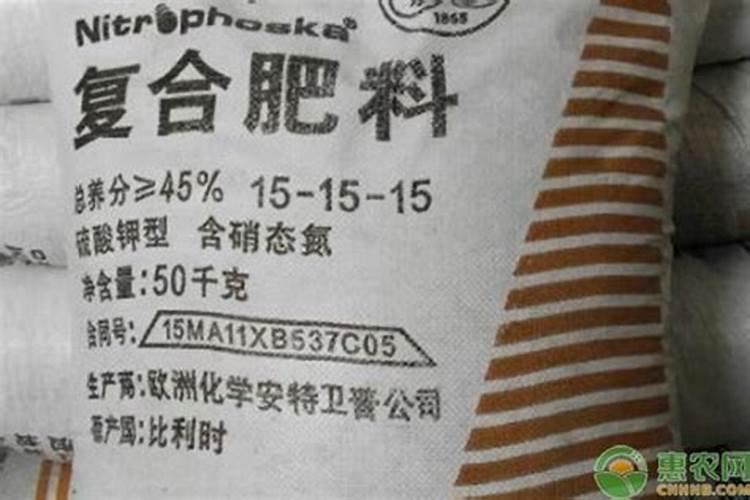 肇庆水仙花复混肥料和复合肥料的区别在哪？