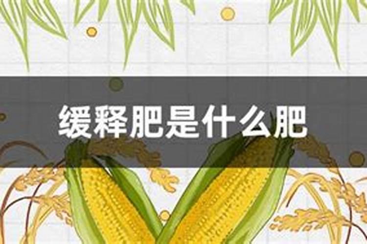红豆杉缓释肥是什么肥料做的好？