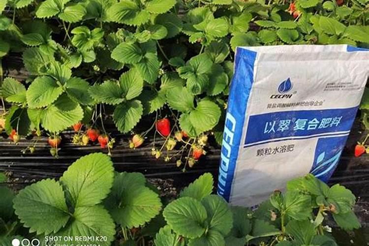 颗粒水溶肥料哪个品牌好一点儿？