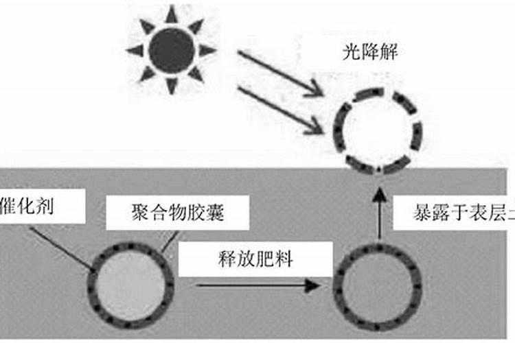 2025水田控释肥最简单三个步骤河间