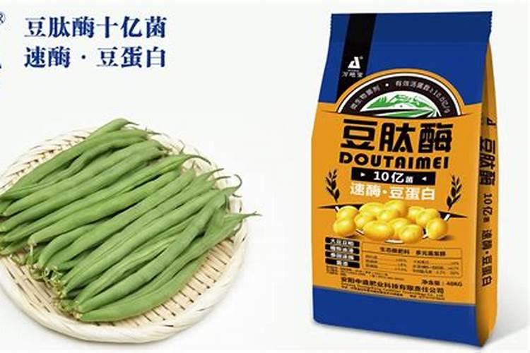 芸豆怎么找化肥厂家代理加工厂生产？