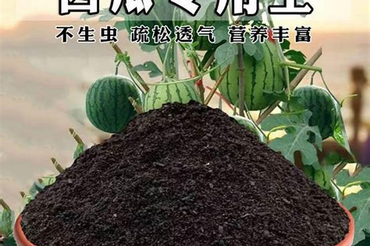 西瓜移栽可用平衡行水溶肥浇水吗？