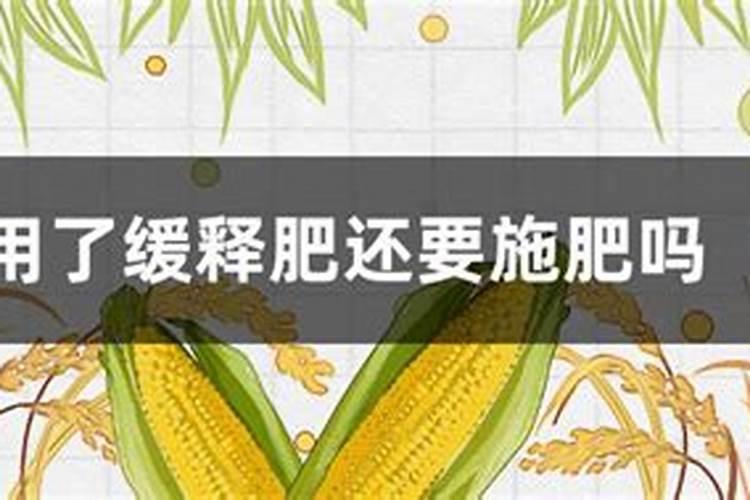 缓释肥是什么肥用了后还要施肥吗2025？