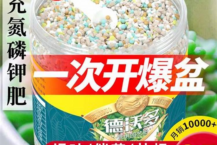 兰花盆土施了缓释肥还能施别的肥吗