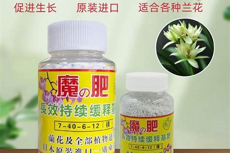 兰花专用缓释肥推荐