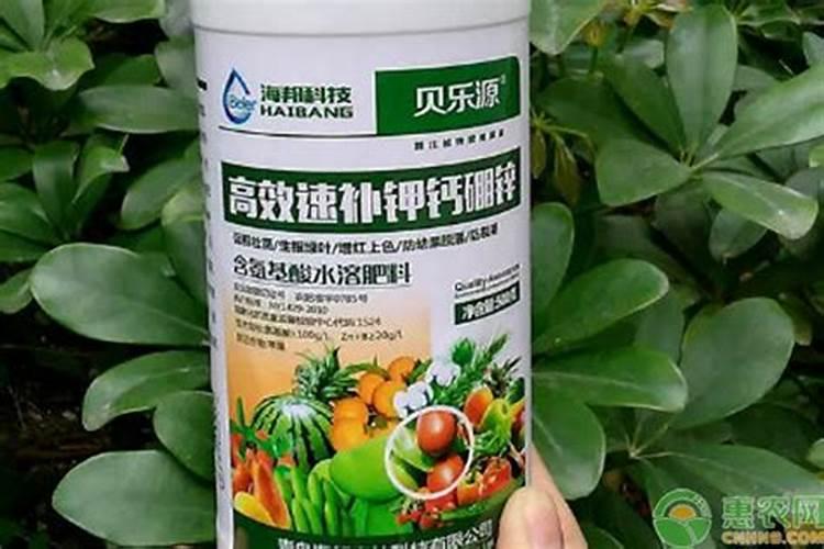 农用氨基酸叶面肥十大品牌有哪些夜来香？