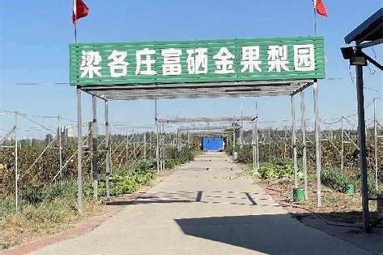 富硒肥料厂家排名榜梨子