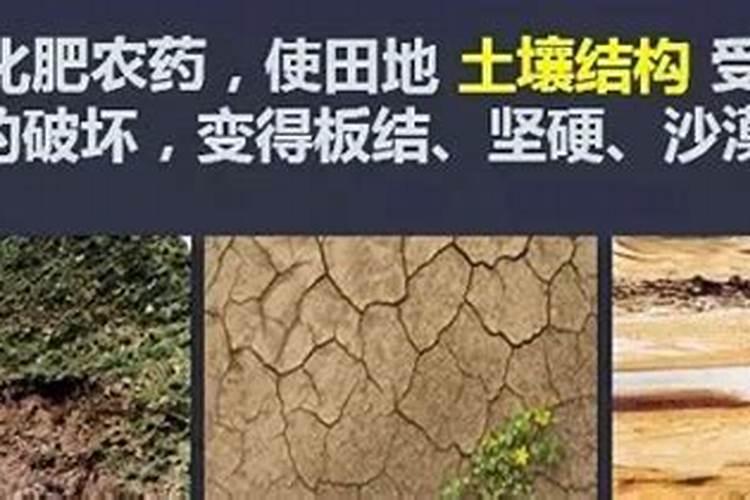 化肥对土壤的污染？