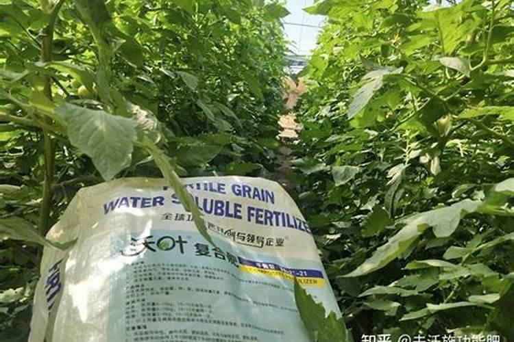 朴诺颗粒水溶肥效果好吗