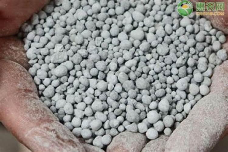 氮磷肥是什么肥温岭2025番薯？