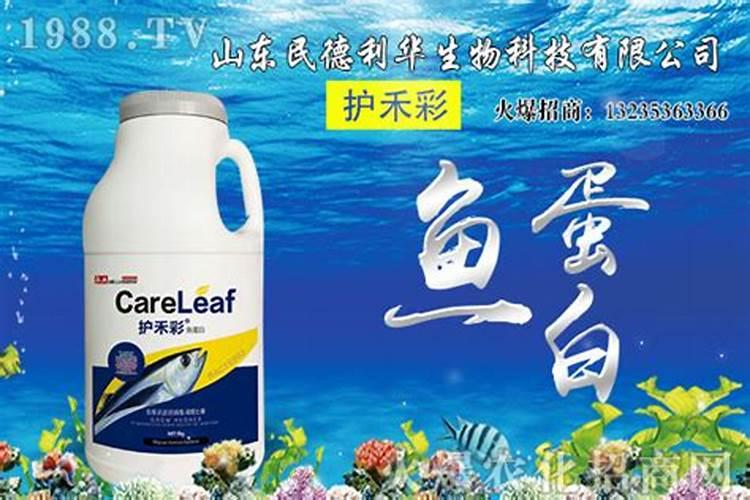鱼蛋白肥料有什么作用和功效禁忌2025？