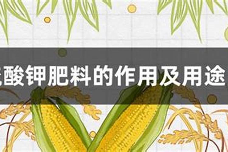 汉川2025桑园硫酸钾复合肥的作用及用途及用量