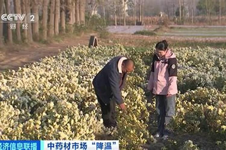 复合肥价格还会涨吗？