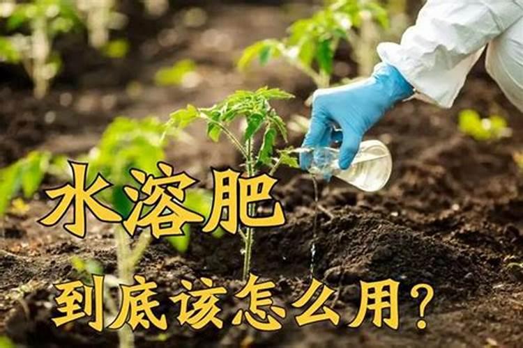 水溶肥是长效肥吗为什么是短效肥？