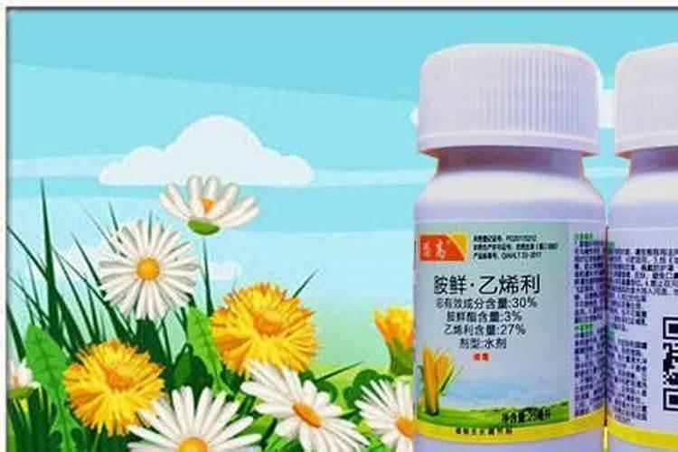 胺鲜乙烯利能打棉花吗？