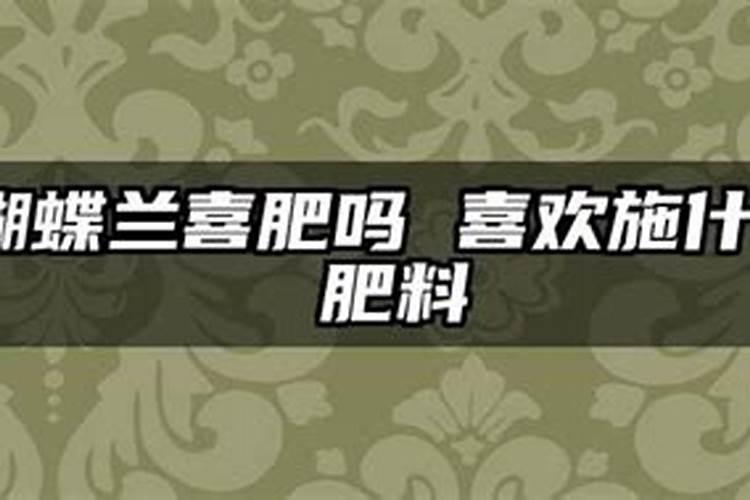 蝴蝶兰喜肥吗,喜欢施什么肥料