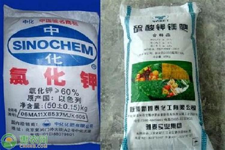 什么粪便钾肥含量最高？