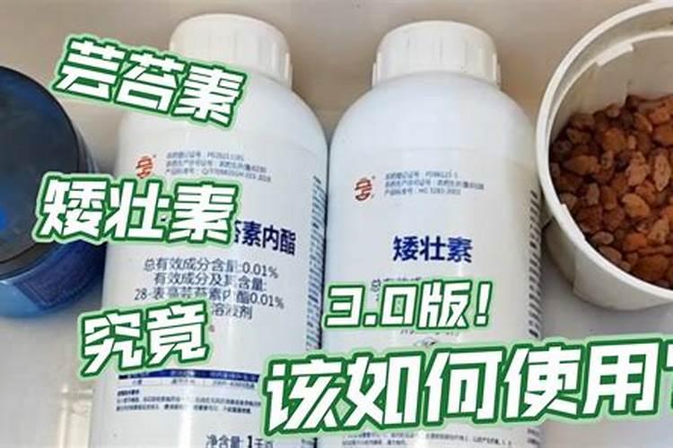 葡萄如何使用芸苔素杀菌？