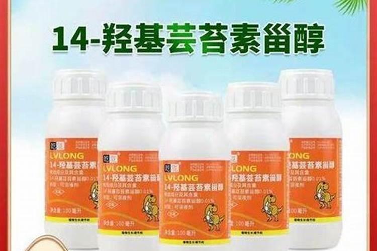 芸苔素内脂是真对葡萄大小粒是喷叶还是喷果实