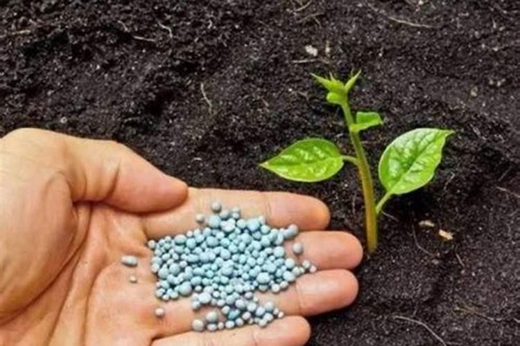 种菜用的磷肥是哪种成分做的？