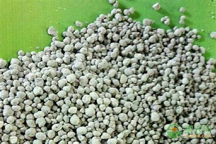 磷肥适合哪种植物用？