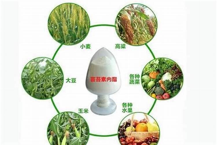 芸苔素同尿素能一起用吗怎么用？