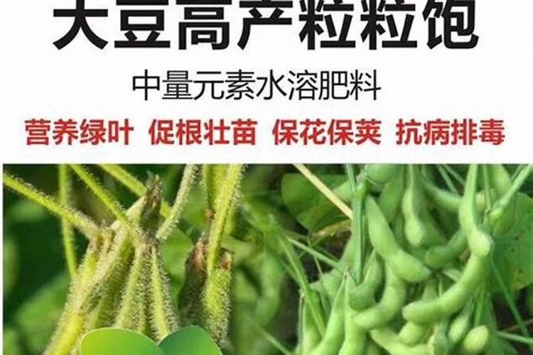 黄豆发酵液做叶面肥行吗怎么做？