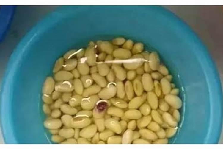 沤黄豆的水可以做叶面肥吗？