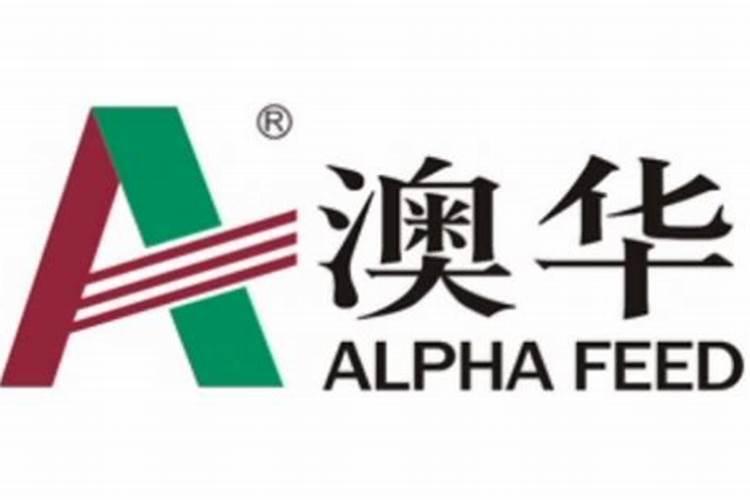 澳华集团集团子公司