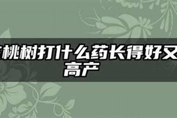 桃树打什么药长得好又高产