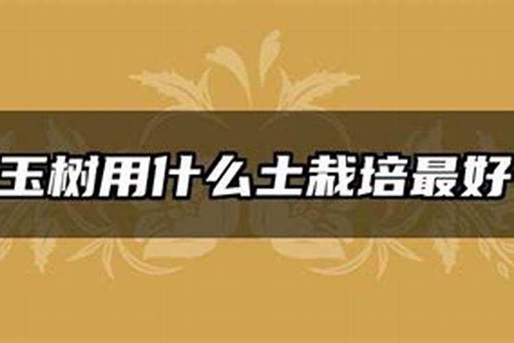 玉树用什么土栽培最好