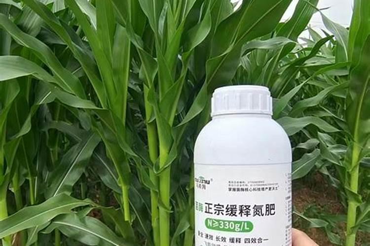 国外用什么氮肥最多？