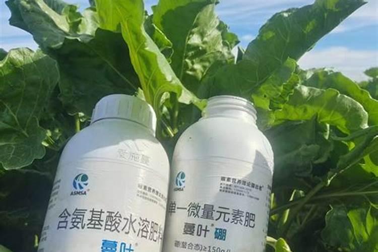 真正的好硼肥在什么价位买？