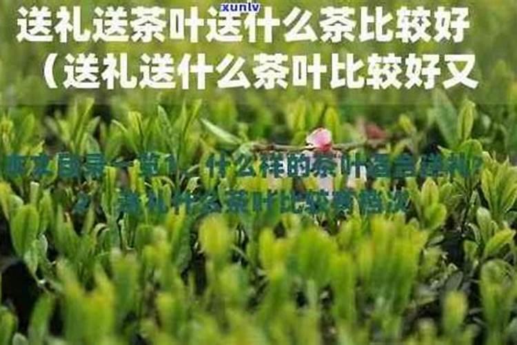 各位专家老师茶叶什么时候下肥最合适。