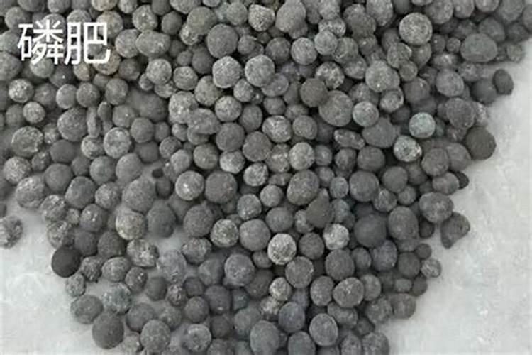 白色钾肥和红钾肥的区别在哪？