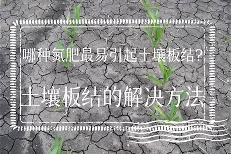 施哪种氮肥容易土壤板结呢？