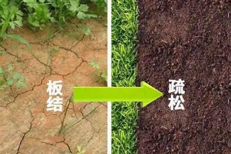 酸性土壤改良方法用什么肥 土壤酸性过高怎么施肥改良