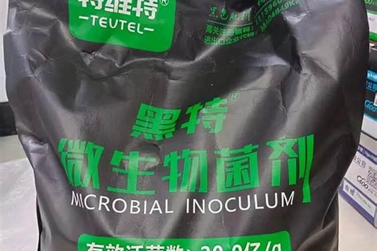 施倍多生根肥好不好用？