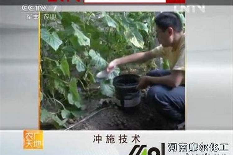 水溶肥极限倍数是多少毫升的？