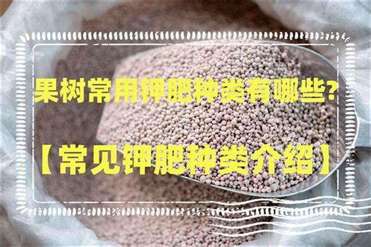 果树专用钾肥的使用方法有哪些？