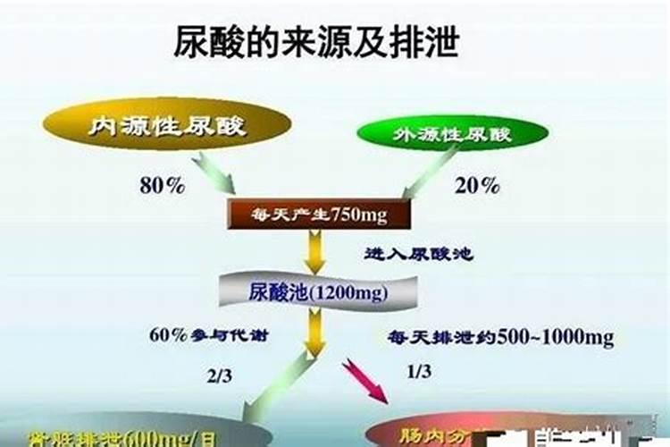 尿素氮偏高1.0严重吗有什么危害需要注意点什么