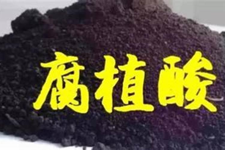 腐殖酸和什么肥料用效果好一点？